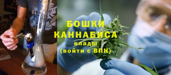 дживик Верхний Тагил