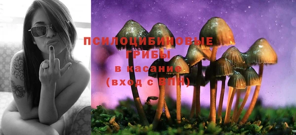 дживик Верхний Тагил